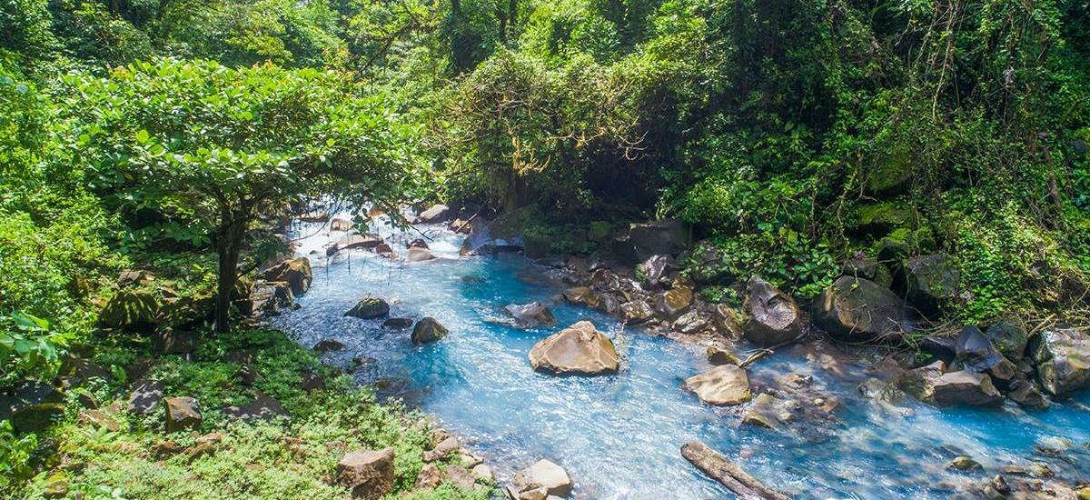 Rio Celeste Waterfall & Tenorio Volcano National Park Guide