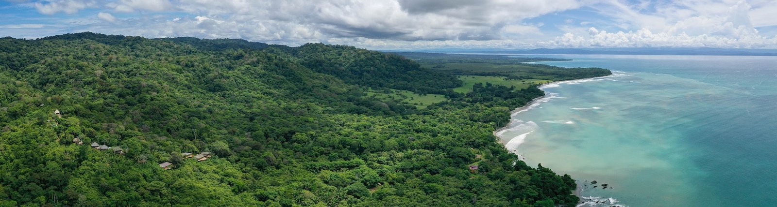 How to Get to the Osa Peninsula Rainforest